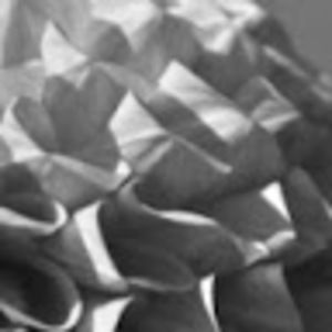 Meet your Posher, Elisa